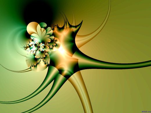20555 (a): :1280x960